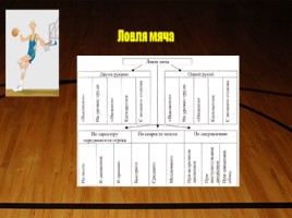 Урок баскетбола в 4 классе «Передача мяча от плеча левой и правой рукой», слайд 2