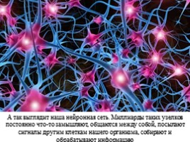 Исследовательская работа «Вселенная и наш мозг», слайд 4