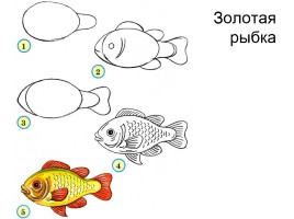 Рисуем рыб, слайд 3