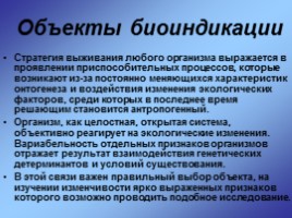 Исследовательская работа «Фенетический подход к изучению изменчивости рисунка покровов тела клопа-солдатика в природных популяциях», слайд 5