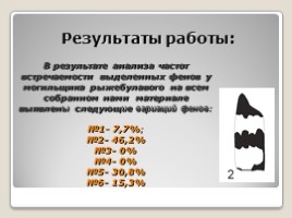 Исследовательская работа «Изучение экологии и внутрипопуляционной изменчивости могильщика рыжебулавого», слайд 14