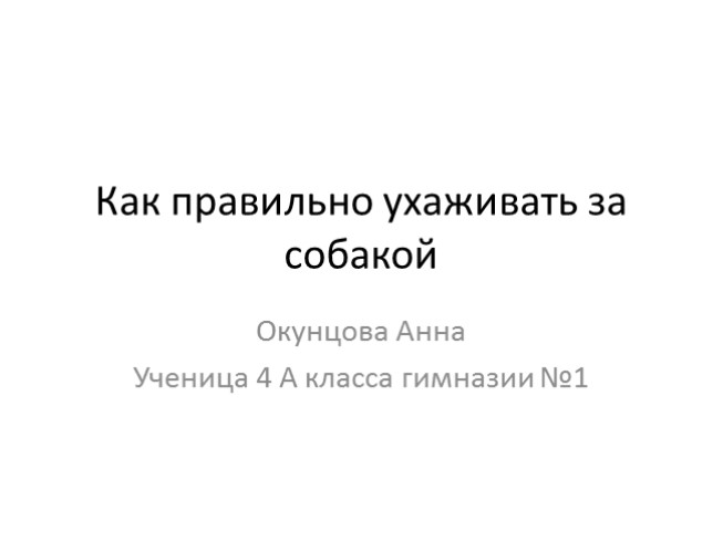 Как правильно ухаживать за собакой