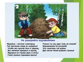 Животные Курска и Курской области, слайд 106