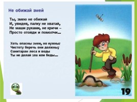 Животные Курска и Курской области, слайд 110