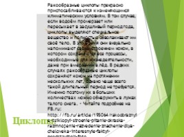 Животные Курска и Курской области, слайд 78