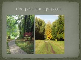 Ясная Поляна в жизни Л.Н. Толстого, слайд 9