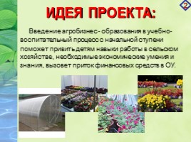 Проект «Агробизнес - образование в условиях реализации ландшафтного дизайна на базе МБОУ СОШ №19», слайд 2