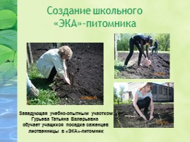 Проект «Агробизнес - образование в условиях реализации ландшафтного дизайна на базе МБОУ СОШ №19», слайд 5