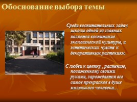 Дизайн-проект «Дизайн учебно-опытного участка МБОУ СОШ №19 г. Мичуринска», слайд 4