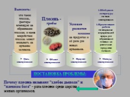 Исследовательская работа по биологии «Плесневые грибы загадка природы», слайд 3