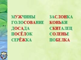 Интеллектуальная игра по окружающему миру для учащихся 2 класса, слайд 17