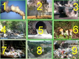 Экологическая безопасность, слайд 5