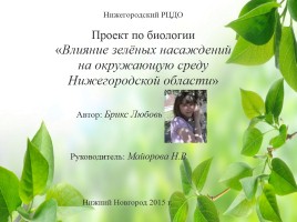 Влияние зелёных насаждений на окружающую среду Нижегородской области