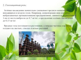 Влияние зелёных насаждений на окружающую среду Нижегородской области, слайд 10