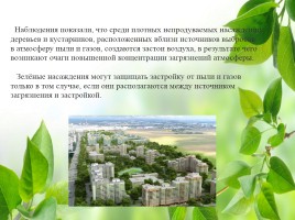 Влияние зелёных насаждений на окружающую среду Нижегородской области, слайд 13