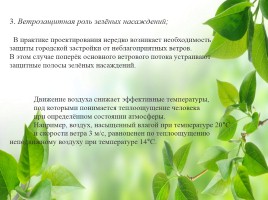 Влияние зелёных насаждений на окружающую среду Нижегородской области, слайд 14