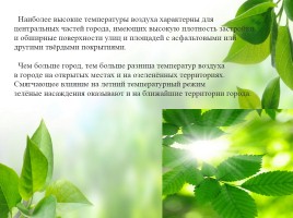 Влияние зелёных насаждений на окружающую среду Нижегородской области, слайд 18