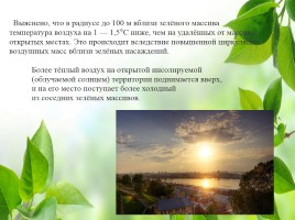 Влияние зелёных насаждений на окружающую среду Нижегородской области, слайд 19