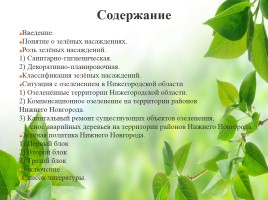 Влияние зелёных насаждений на окружающую среду Нижегородской области, слайд 2