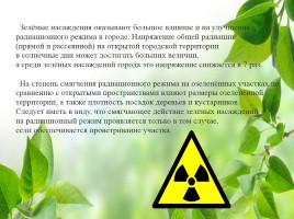 Влияние зелёных насаждений на окружающую среду Нижегородской области, слайд 20
