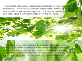 Влияние зелёных насаждений на окружающую среду Нижегородской области, слайд 21
