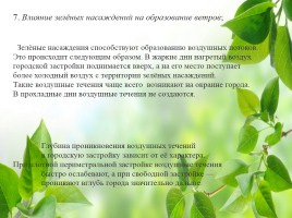 Влияние зелёных насаждений на окружающую среду Нижегородской области, слайд 23