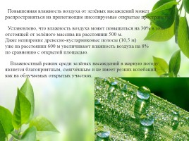 Влияние зелёных насаждений на окружающую среду Нижегородской области, слайд 24