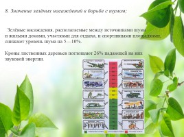 Влияние зелёных насаждений на окружающую среду Нижегородской области, слайд 25