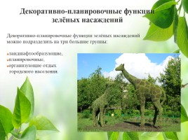 Влияние зелёных насаждений на окружающую среду Нижегородской области, слайд 27