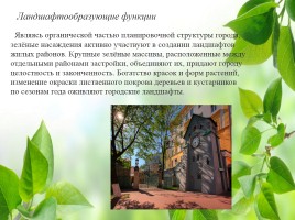Влияние зелёных насаждений на окружающую среду Нижегородской области, слайд 28