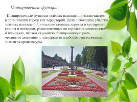 Влияние зелёных насаждений на окружающую среду Нижегородской области, слайд 29
