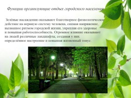 Влияние зелёных насаждений на окружающую среду Нижегородской области, слайд 30