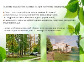 Влияние зелёных насаждений на окружающую среду Нижегородской области, слайд 31