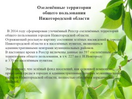 Влияние зелёных насаждений на окружающую среду Нижегородской области, слайд 32