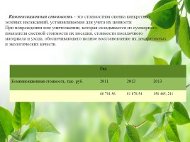 Влияние зелёных насаждений на окружающую среду Нижегородской области, слайд 37