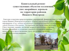 Влияние зелёных насаждений на окружающую среду Нижегородской области, слайд 38
