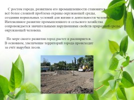 Влияние зелёных насаждений на окружающую среду Нижегородской области, слайд 4