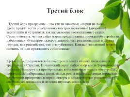Влияние зелёных насаждений на окружающую среду Нижегородской области, слайд 44