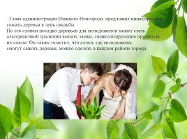 Влияние зелёных насаждений на окружающую среду Нижегородской области, слайд 45
