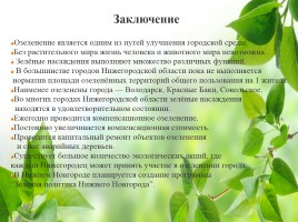 Влияние зелёных насаждений на окружающую среду Нижегородской области, слайд 46