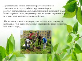 Влияние зелёных насаждений на окружающую среду Нижегородской области, слайд 5