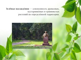 Влияние зелёных насаждений на окружающую среду Нижегородской области, слайд 6