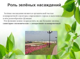 Влияние зелёных насаждений на окружающую среду Нижегородской области, слайд 7