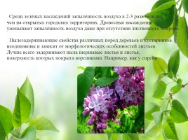Влияние зелёных насаждений на окружающую среду Нижегородской области, слайд 9
