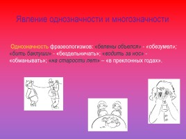 Проект по русскому языку по теме «Фразеологизмы», слайд 18