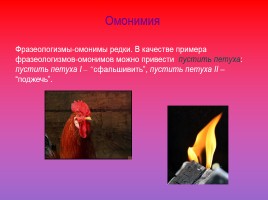 Проект по русскому языку по теме «Фразеологизмы», слайд 32