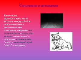 Проект по русскому языку по теме «Фразеологизмы», слайд 33