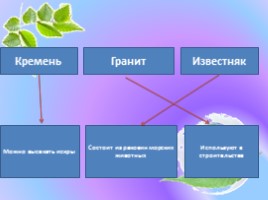 Окружающий мир 1 класс «Что общего у разных растений?», слайд 5