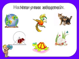 Окружающий мир 2 класс «Животные живого уголка», слайд 15