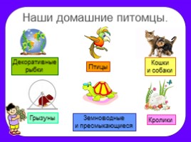 Окружающий мир 2 класс «Животные живого уголка», слайд 16